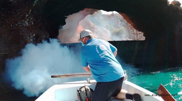 Alanya’da sinekle mücadele devam ediyor