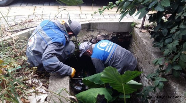 Alanya’da sinekle mücadelede kış mesaisine geçildi