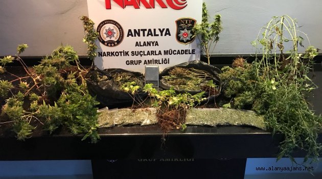 Alanya’da uyuşturucu operasyonu