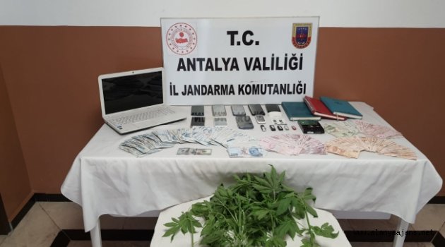 Alanya’da yasa dışı bahis operasyonu
