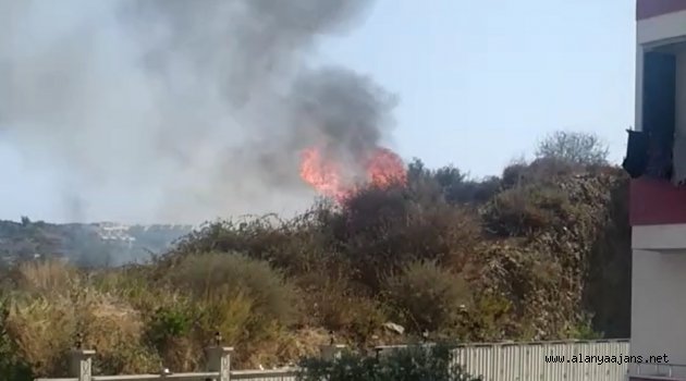 Alanya’da yerleşim yerlerine yakın noktada yangın