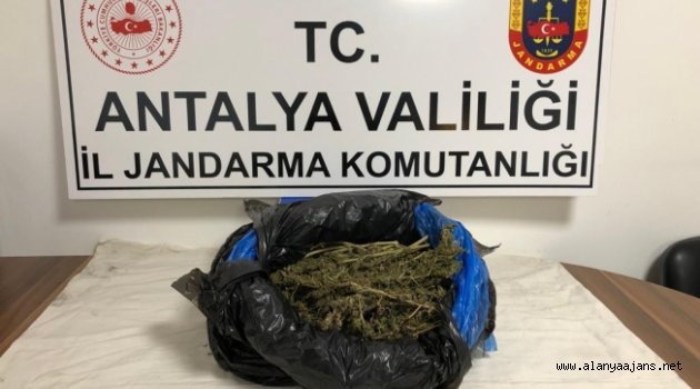 Alanya Otogarı'nda uyuşturucu operasyonu