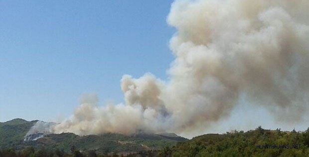 ALANYA YANIYOR !!!