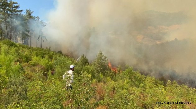 Alanya Yeniköy'de orman yangını kontrol altına alındı