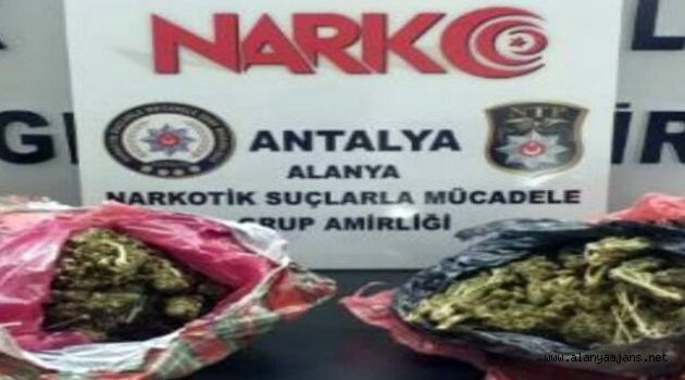 Alanya'da 2 kilo esrarla yakalanan şüpheli tutuklandı