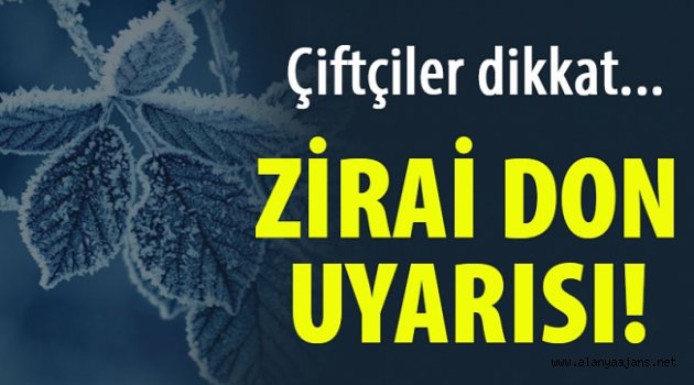 Alanya'da 3 günlük zirai don uyarısı!