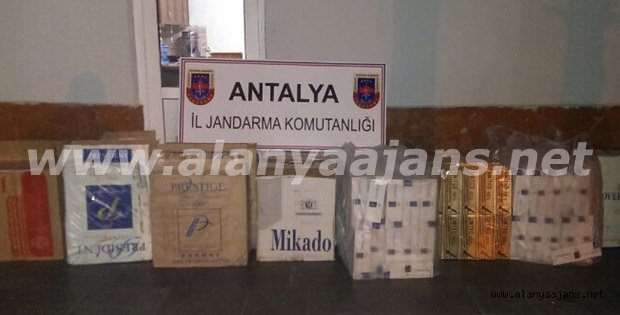 ALANYA’DA 8 BİN PAKET KAÇAK SİGARA ELE GEÇİRİLDİ