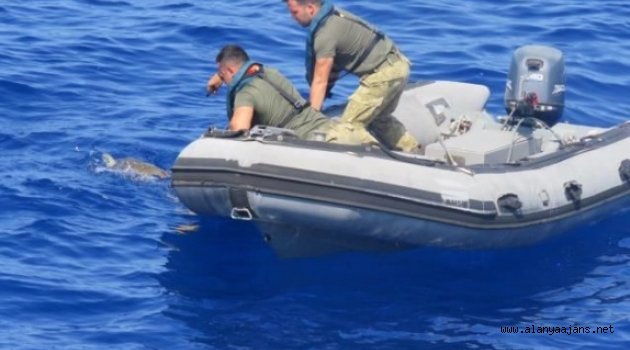 Alanya'da ağa dolanmış carettayı sahil güvenlik kurtardı