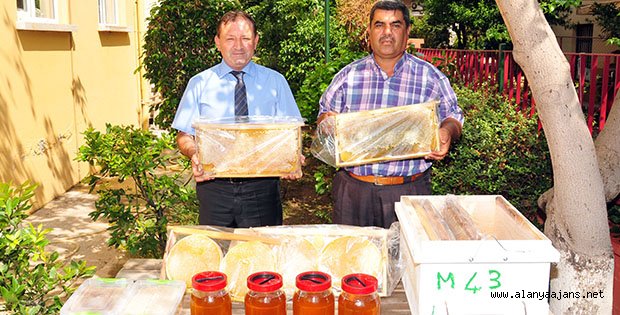 ALANYA'DA BAL ÜRETİMİNDE REKOR KIRILDI