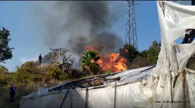 Alanya'da çalılık alanda yangın paniği