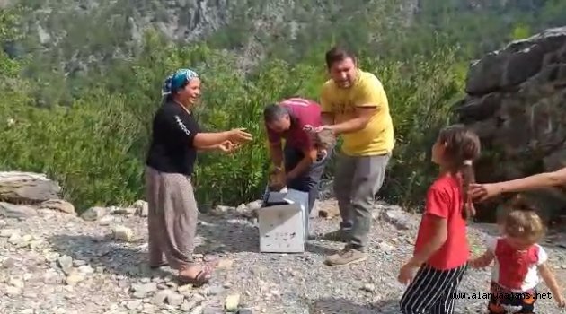 Alanya'da keklikler doğaya salındı