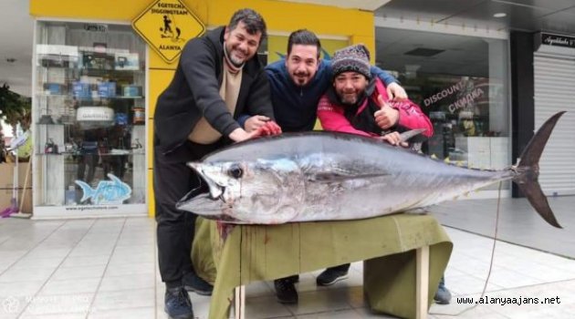 Alanya'da oltaya 85 kiloluk orkinos takıldı