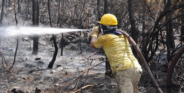 ALANYA'DA ORMAN YANGINI