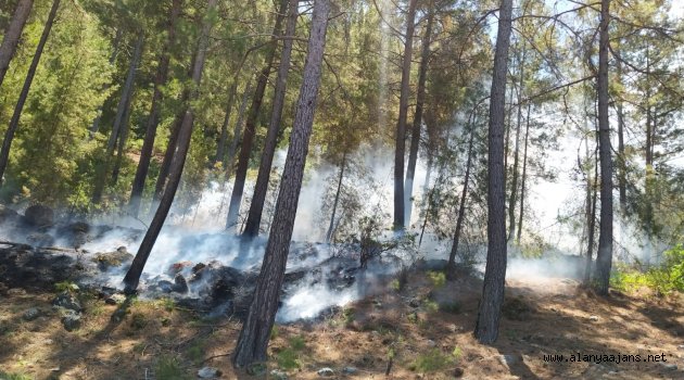 Alanya'da orman yangını!