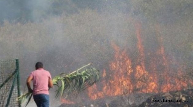 Alanya'da otları yakmak isterken bahçeyi yaktı