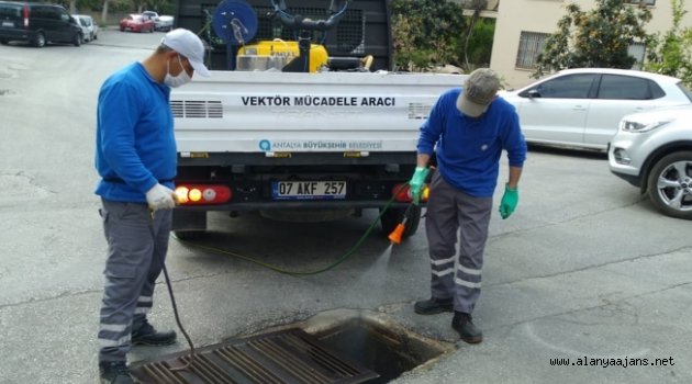 Alanya'da sinekle mücadelede yaz mesaisi başladı