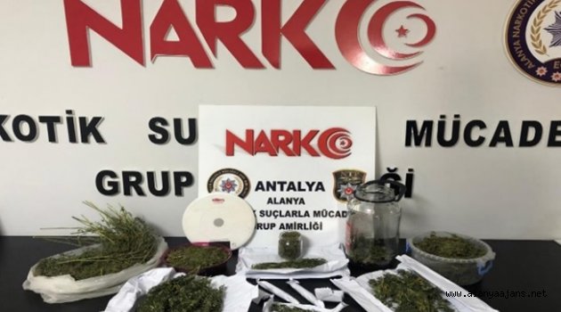 Alanya'da uyuşturucuya geçit yok!
