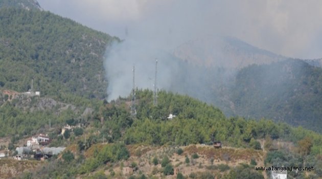 Alanya'da yangın paniği! Kısa sürede söndürüldü