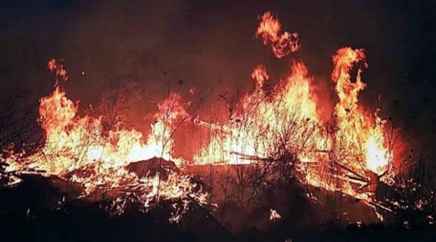 Alanya'da yangın paniği!