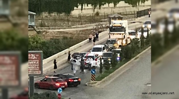 Alanya'daki bu görüntüye profesör isyan etti