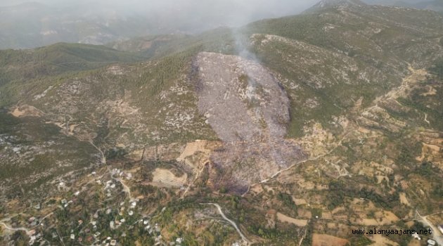 Alanya'daki orman yangınında 6 hektarlık makilik alan zarar gördü