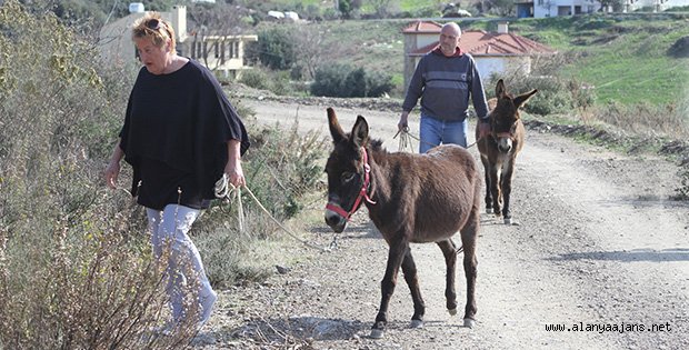 ALMAN ÇİFT VİLLALARINDA EŞEK BESLİYOR