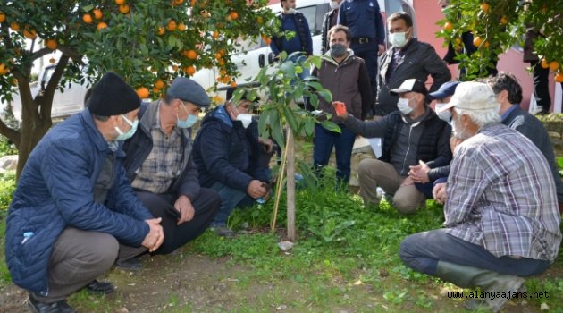 Büyükşehirden Alanyalı çiftçilere uygulamalı eğitim