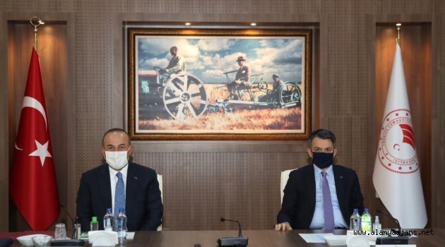 Çifte bakanlı toplantıdan Alanya'ya müjde