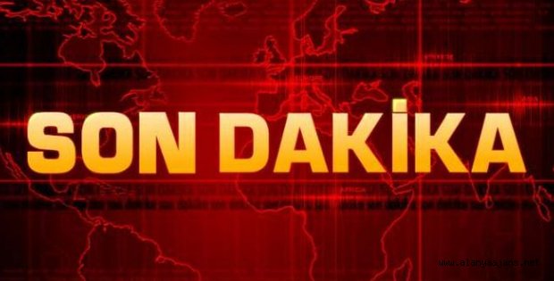DANİMARKALI KADIN KÖPEĞİYLE ÖLDÜ
