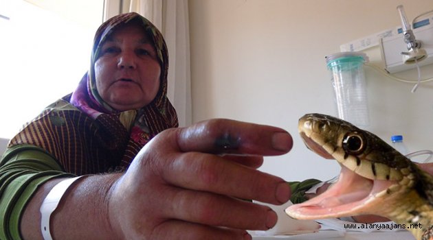 Dikkat sizi de sokabilir