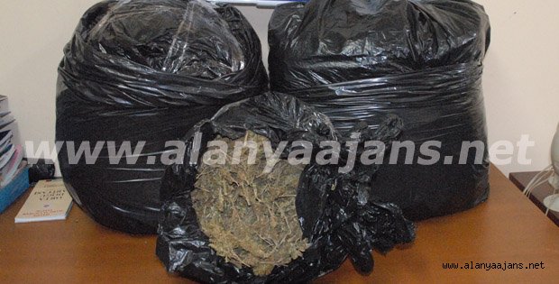 ESRAR SEVKİYATINA “ÇEKİÇ” DARBESİ