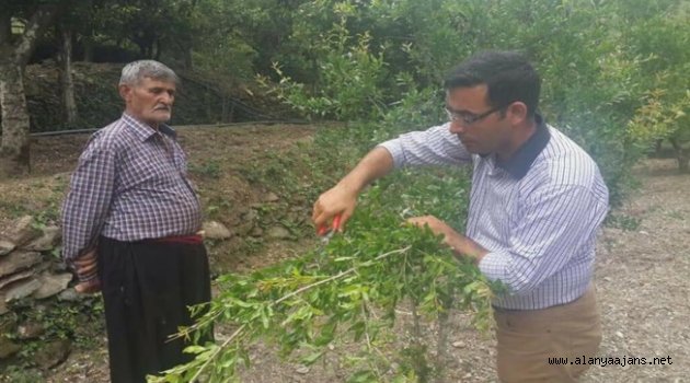 Göktepe'den Alanyalı üreticiye davet