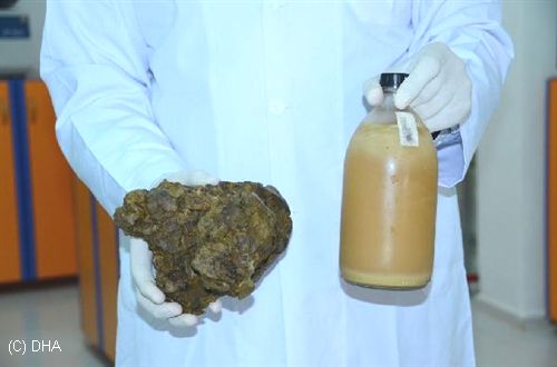 Hastalıkların Doğal Düşmanı, Propolis