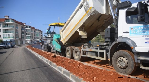Hayri Doğan Caddesi’nde asfalt çalışması başladı