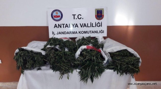 İçiciyim desede 15 yıl hapisten kurtulamadı