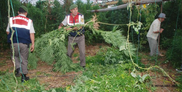 JANDARMA UYUŞTURUCUYA GEÇİT VERMİYOR