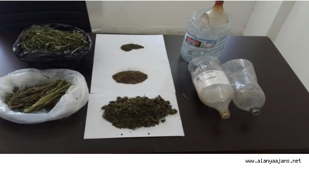 Jandarmadan uyuşturucu operasyonu