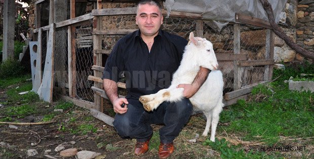 KAYIP KEÇİLERİNİ ANTALYA' DA BULDU