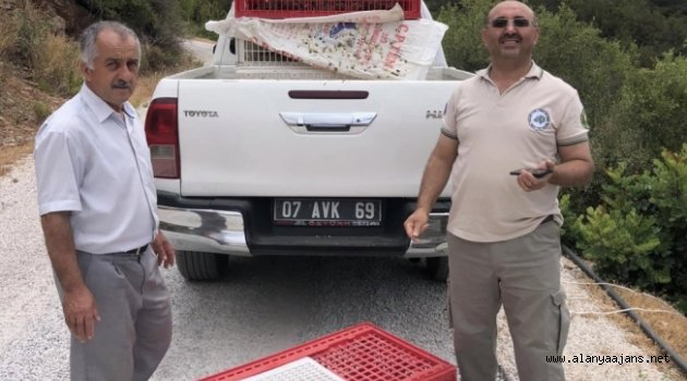 Keklikler Aliefendi’den doğaya bırakıldı