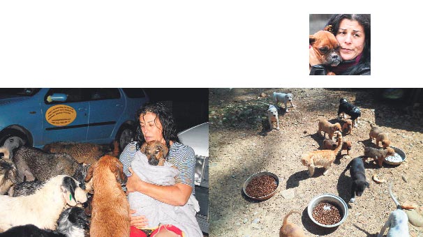Köpeklerim olmadan asla