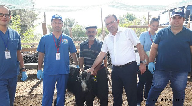 Kurban pazarları denetlendi