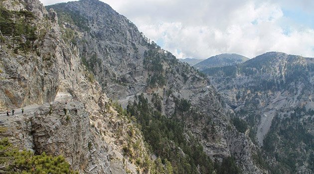 Feci kazada avukat ve müvekkili can verdi