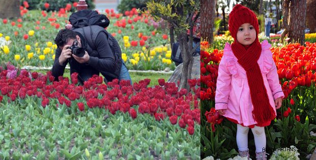 LALELER FOTOĞRAF STÜDYOSU GİBİ