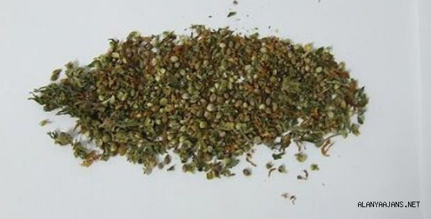 MARKETTE ESRAR BULUNDU