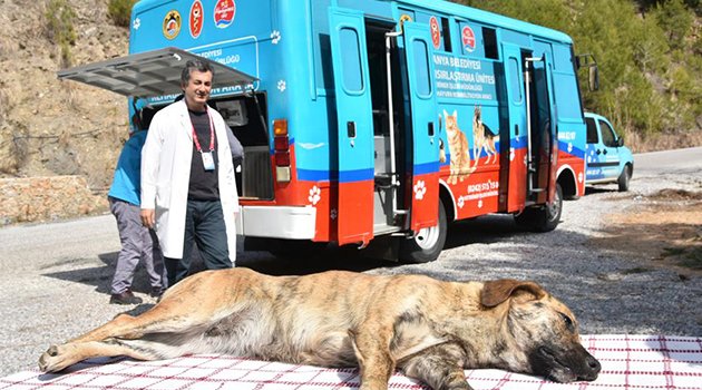 Mobil Klinik Aracı Kırsal Mahallelerde