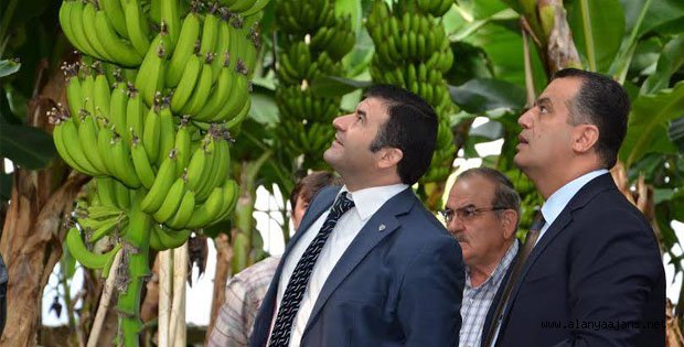MUZUN VE AVOKADONUN EĞİTİM FİLMLERİ ÇEKİLDİ…