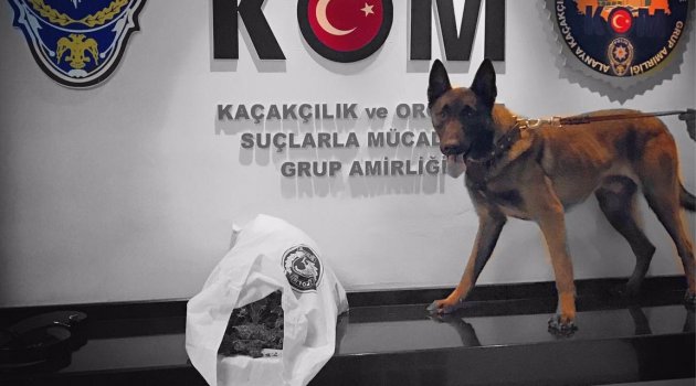 Narkotik köpeği E'sco' iş başında