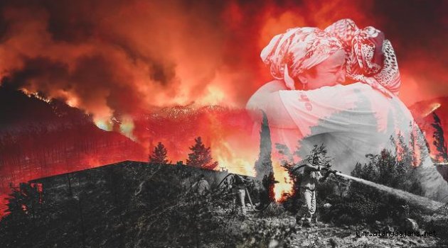 Orman yangınları 'Afet Bölgesi' ilan edildi