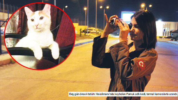 ‘Pamuk’u bulana ödül var!