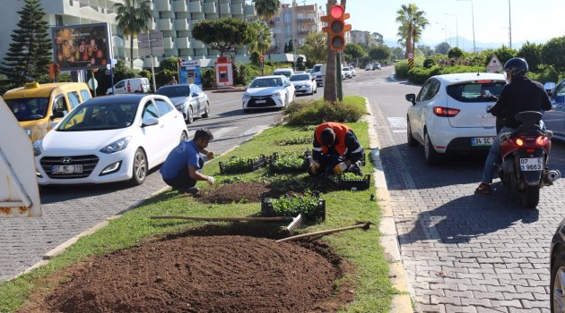Park ve Bahçelerde Kış Bakımı